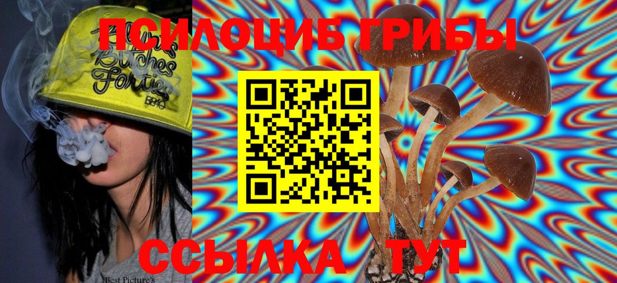 Ставрополь  Псилоцибиновые грибы MAGIC MUSHROOMS  Вход с VPN  Псилоцибиновые грибы Psilocybe 
